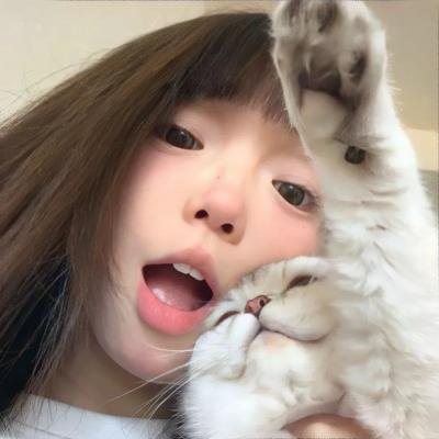 车队